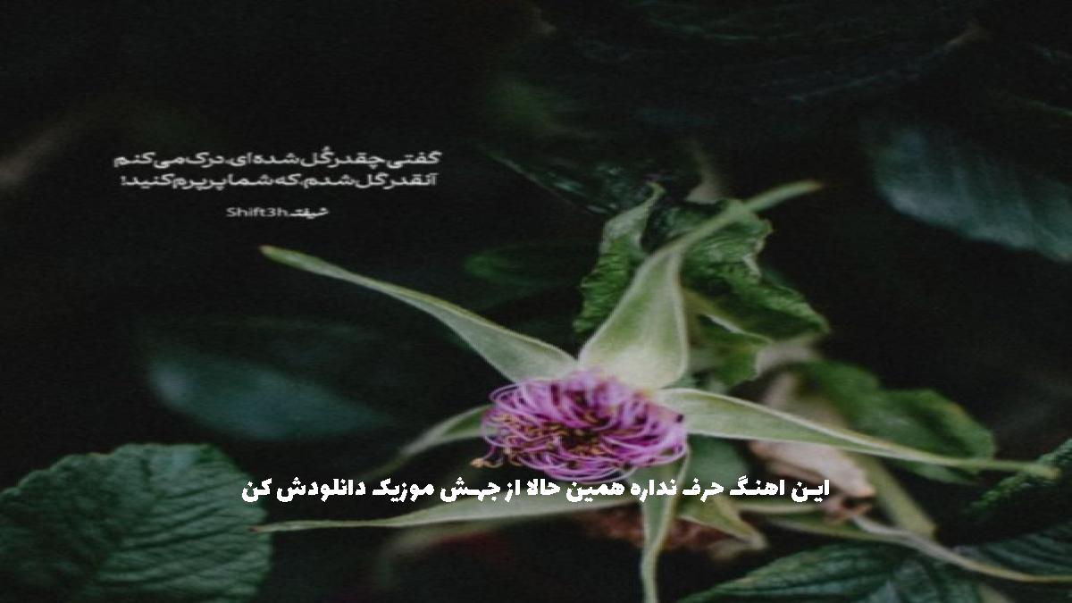 عکس آهنگ حال خماری درم که محتاج سیخ و سنگه از رضا کرمی تارا